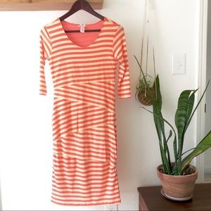 Striped knit dress NWOT